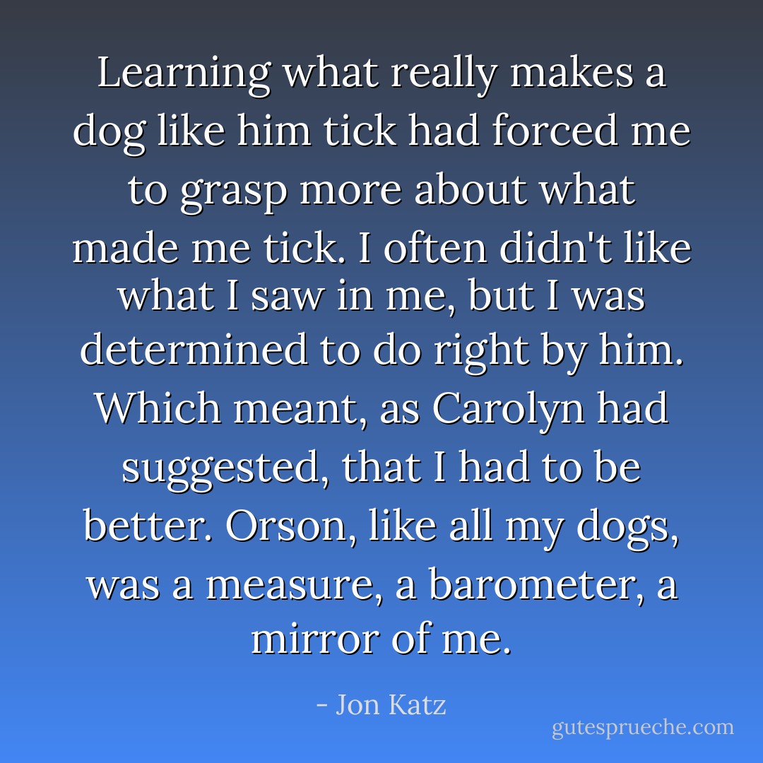 Learning what really makes a dog like him tick had forced me to grasp more about what made me tick. I often didn't like what I saw in me, but I was determined to do right by him. Which meant, as Carolyn had suggested, that I had to be better. Orson, like all my dogs, was a measure, a barometer, a mirror of me. - Jon Katz
