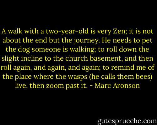 A walk with a two-year-old is very Zen; it is not about the end but the journey. He needs to pet the dog someone is walking; to roll down the slight incline to the church basement, and then roll again, and again, and again; to remind me of the place where the wasps (he calls them bees) live, then zoom past it. - Marc Aronson