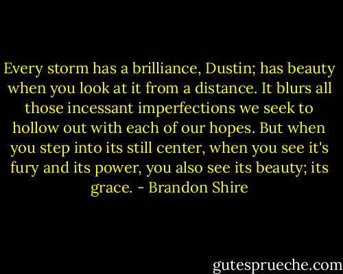 Every storm has a brilliance, Dustin; has beauty when you look at it from a distance. It blurs all those incessant imperfections we seek to hollow out with each of our hopes. But when you step into its still center, when you see it's fury and its power, you also see its beauty; its grace. - Brandon Shire