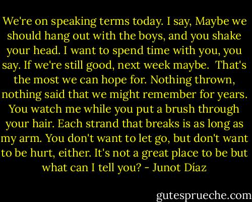 We're on speaking terms today. I say, Maybe we should hang out with the boys, and you shake your head. I want to spend time with you, you say. If we're still good, next week maybe.<br /><br />That's the most we can hope for. Nothing thrown, nothing said that we might remember for years. You watch me while you put a brush through your hair. Each strand that breaks is as long as my arm. You don't want to let go, but don't want to be hurt, either. It's not a great place to be but what can I tell you? - Junot Díaz