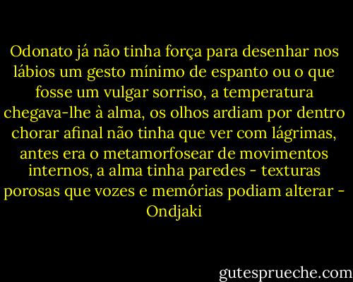 Odonato já não tinha força para desenhar nos lábios um gesto mínimo de espanto ou o que fosse um vulgar sorriso, a temperatura chegava-lhe à alma, os olhos ardiam por dentro<br />chorar afinal não tinha que ver com lágrimas, antes era o metamorfosear de movimentos internos, a alma tinha paredes - texturas porosas que vozes e memórias podiam alterar - Ondjaki