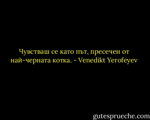 Чувстваш се като път, пресечен от най-черната котка. - Venedikt Yerofeyev