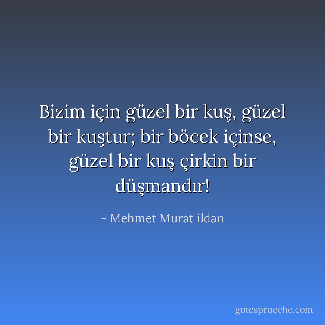 Bizim için güzel bir kuş, güzel bir kuştur; bir böcek içinse, güzel bir kuş çirkin bir düşmandır! - Mehmet Murat ildan
