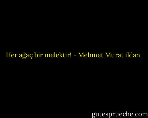 Her ağaç bir melektir! - Mehmet Murat ildan