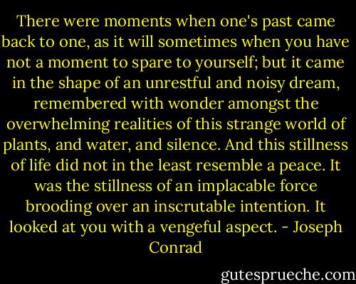 There were moments when one's past came back to one, as it will sometimes when you have not a moment to spare to yourself; but it came in the shape of an unrestful and noisy dream, remembered with wonder amongst the overwhelming realities of this strange world of plants, and water, and silence. And this stillness of life did not in the least resemble a peace. It was the stillness of an implacable force brooding over an inscrutable intention. It looked at you with a vengeful aspect. - Joseph Conrad