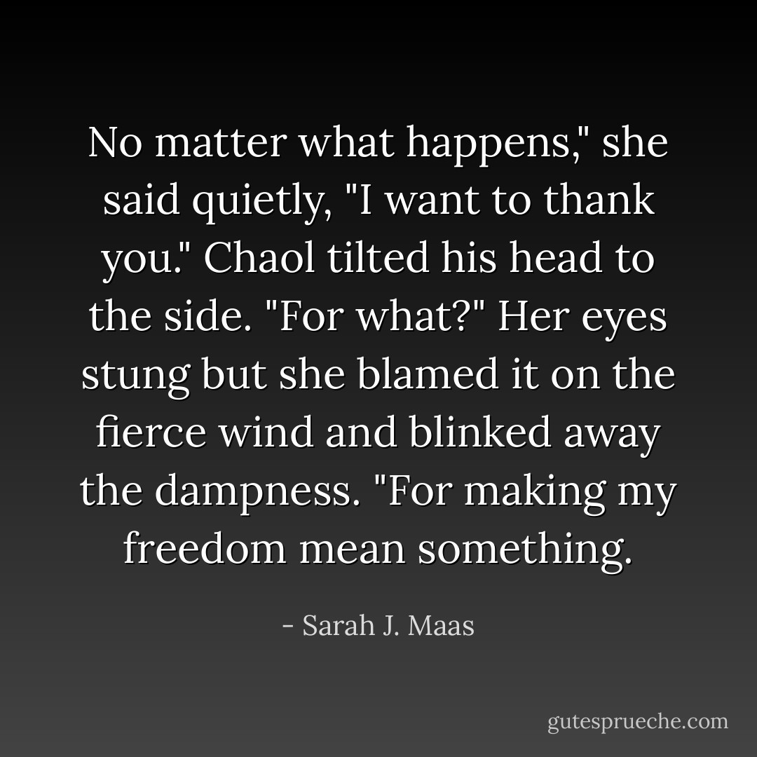 No matter what happens," she said quietly, "I want to thank you."<br />Chaol tilted his head to the side. "For what?"<br />Her eyes stung but she blamed it on the fierce wind and blinked away the dampness. "For making my freedom mean something. - Sarah J. Maas