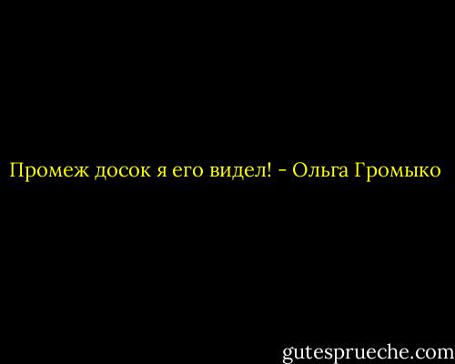 Промеж досок я его видел! - Ольга Громыко