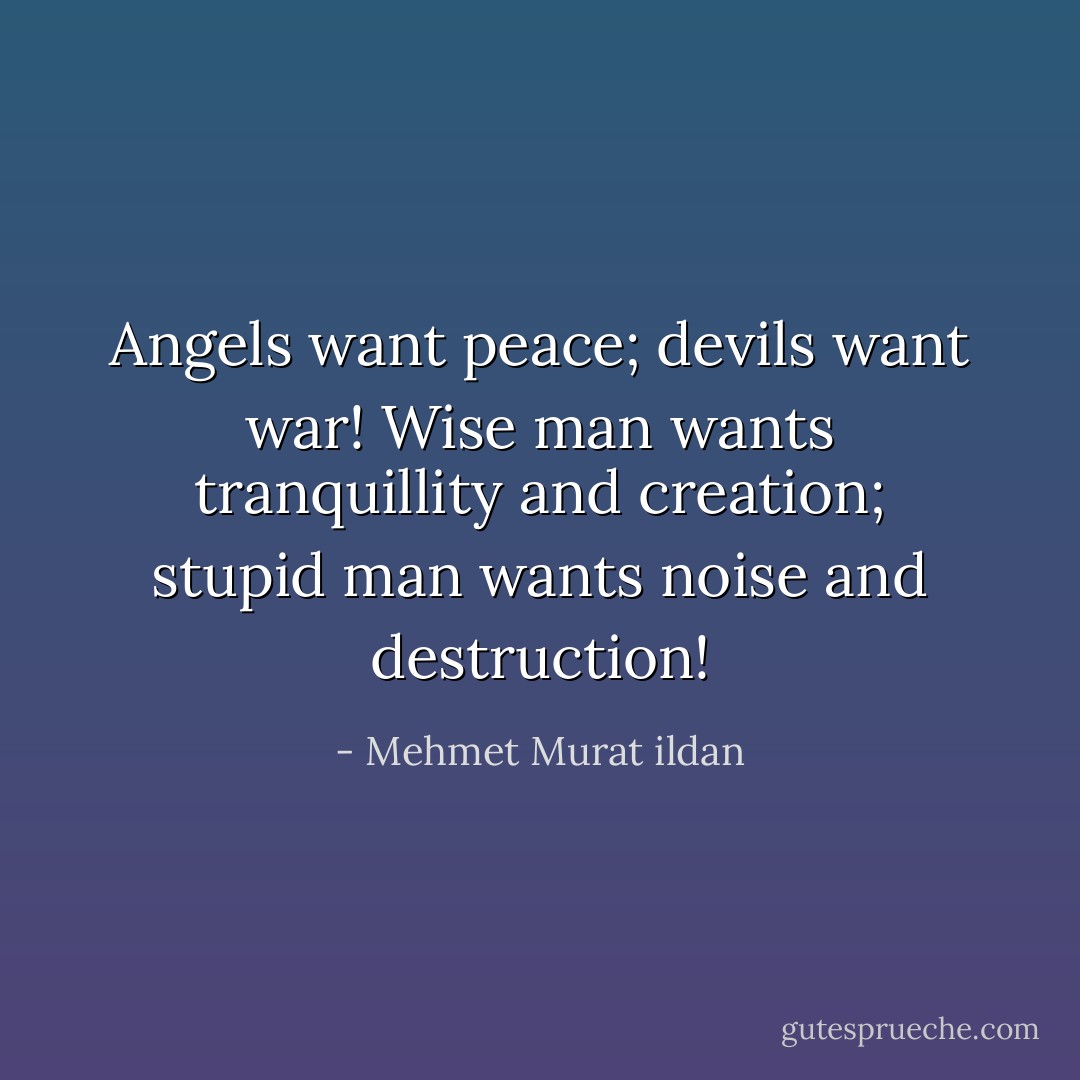 Angels want peace; devils want war! Wise man wants tranquillity and creation; stupid man wants noise and destruction! - Mehmet Murat ildan