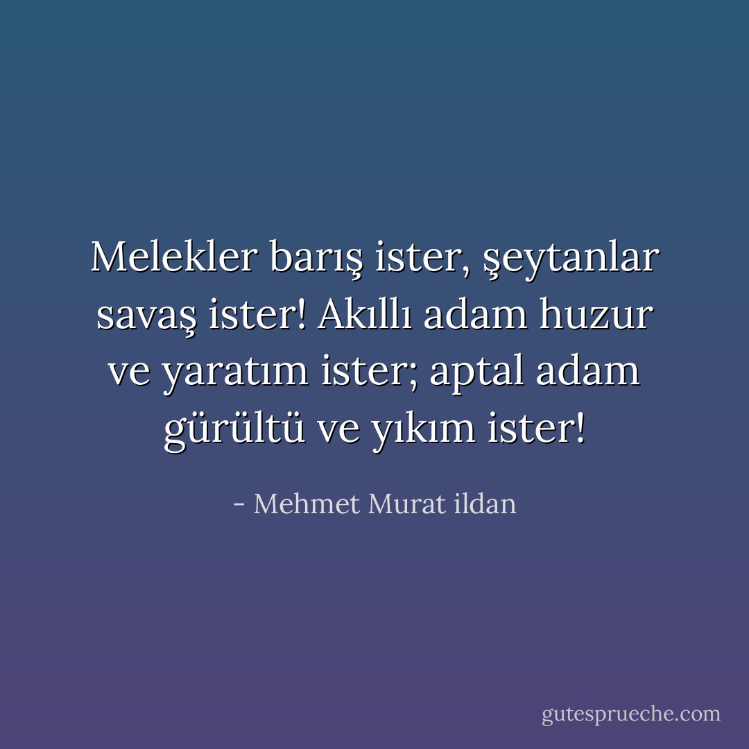 Melekler barış ister, şeytanlar savaş ister! Akıllı adam huzur ve yaratım ister; aptal adam gürültü ve yıkım ister! - Mehmet Murat ildan
