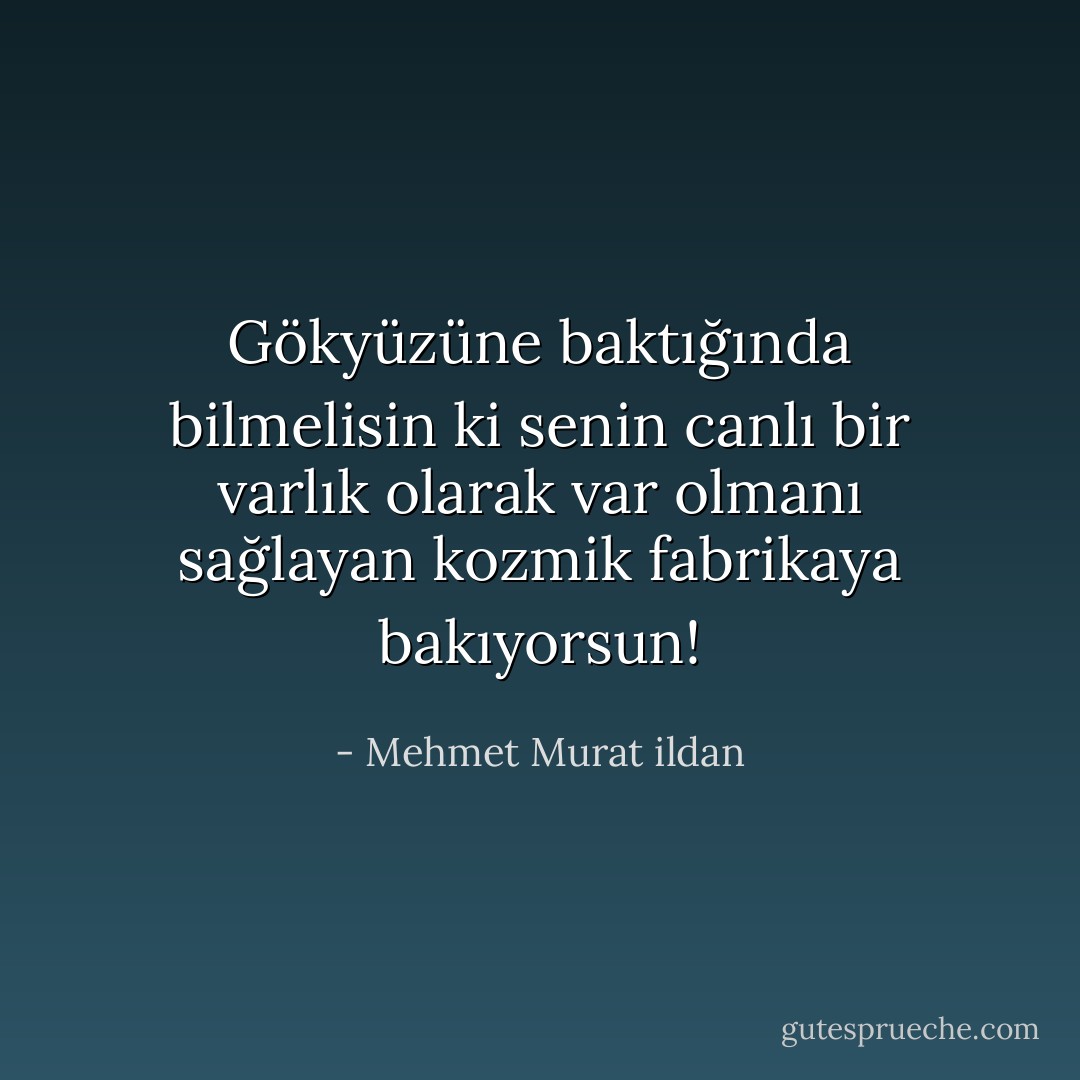 Gökyüzüne baktığında bilmelisin ki senin canlı bir varlık olarak var olmanı sağlayan kozmik fabrikaya bakıyorsun! - Mehmet Murat ildan
