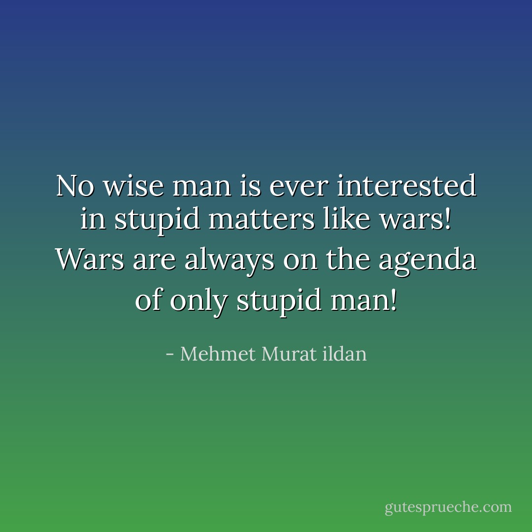 No wise man is ever interested in stupid matters like wars! Wars are always on the agenda of only stupid man! - Mehmet Murat ildan