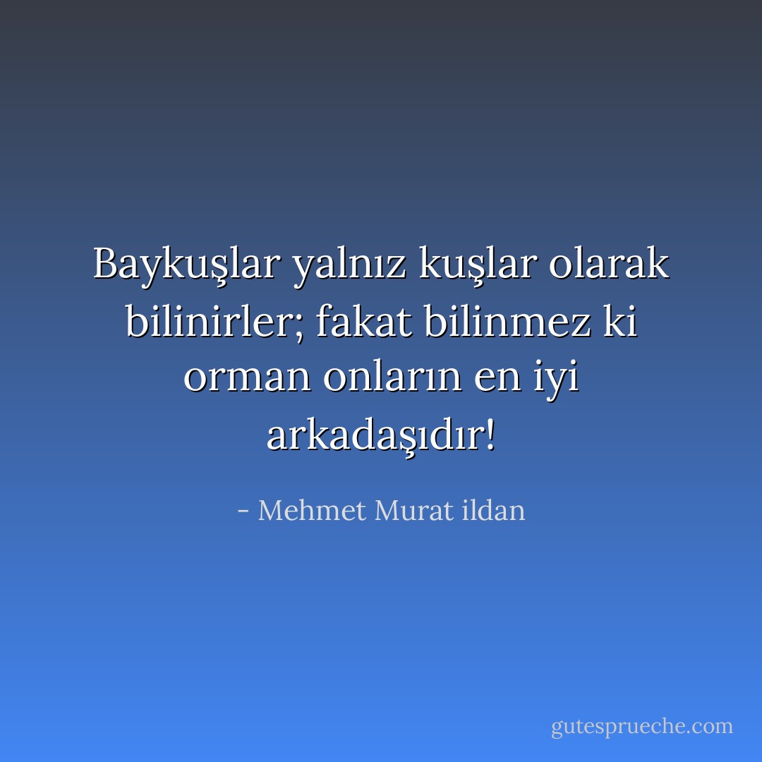 Baykuşlar yalnız kuşlar olarak bilinirler; fakat bilinmez ki orman onların en iyi arkadaşıdır! - Mehmet Murat ildan
