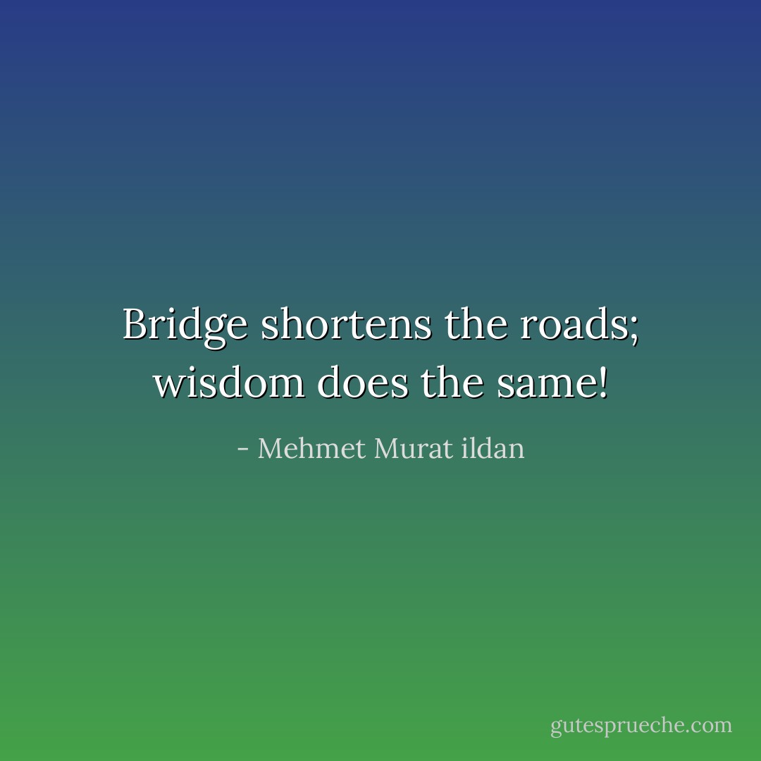 Bridge shortens the roads; wisdom does the same! - Mehmet Murat ildan