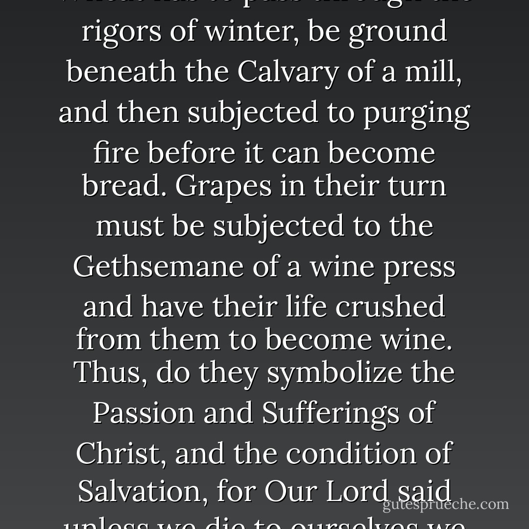 Why did Our Blessed Lord use bread and wine as the elements of this Memorial? First of all, because no two substances in nature better symbolize unity than bread and wine. As bread is made from a multiplicity of grains of wheat, and wine is made from a multiplicity of grapes, so the many who believe are one in Christ. Second, no two substances in nature have to suffer more to become what they are than bread and wine. Wheat has to pass through the rigors of winter, be ground beneath the Calvary of a mill, and then subjected to purging fire before it can become bread. Grapes in their turn must be subjected to the Gethsemane of a wine press and have their life crushed from them to become wine. Thus, do they symbolize the Passion and Sufferings of Christ, and the condition of Salvation, for Our Lord said unless we die to ourselves we cannot live in Him. A third reason is that there are no two substances in nature which have more traditionally nourished man than bread and wine. In bringing these elements to the altar, men are equivalently bringing themselves. When bread and wine are taken or consumed, they are changed into man's body and blood. But when He took bread and wine, He changed them into Himself. - Fulton J. Sheen