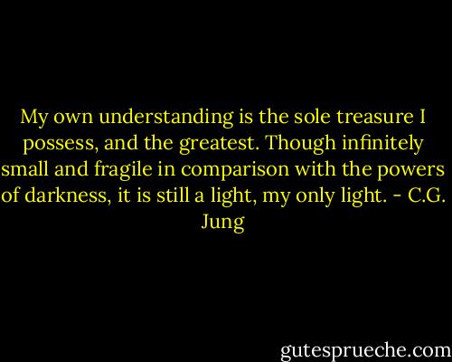 My own understanding is the sole treasure I possess, and the greatest. Though infinitely small and fragile in comparison with the powers of darkness, it is still a light, my only light. - C.G. Jung