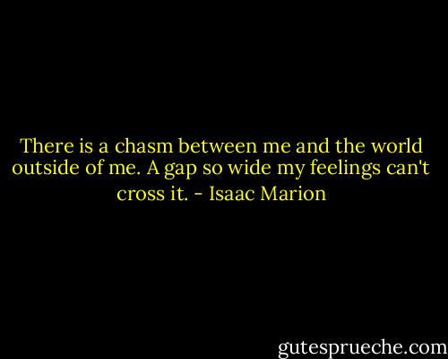 There is a chasm between me and the world outside of me. A gap so wide my feelings can't cross it. - Isaac Marion