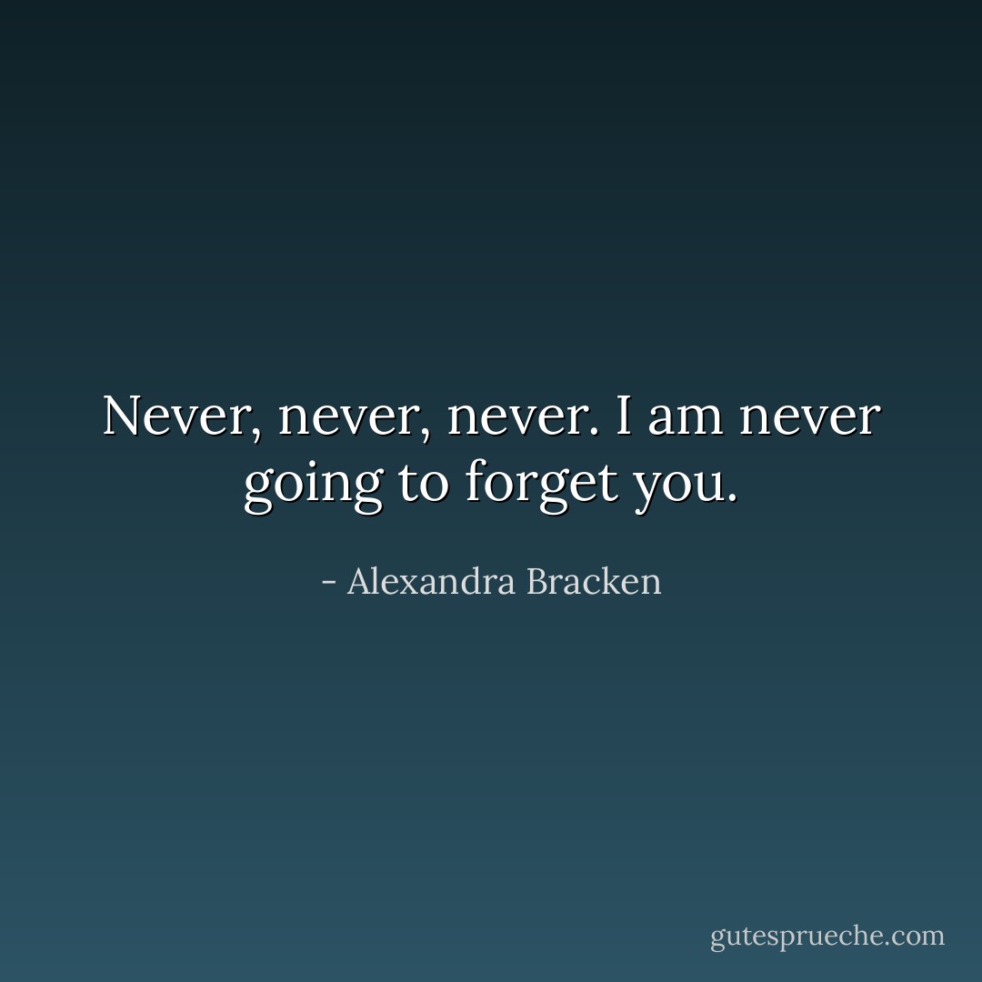 Never, never, never. I am never going to forget you. - Alexandra Bracken