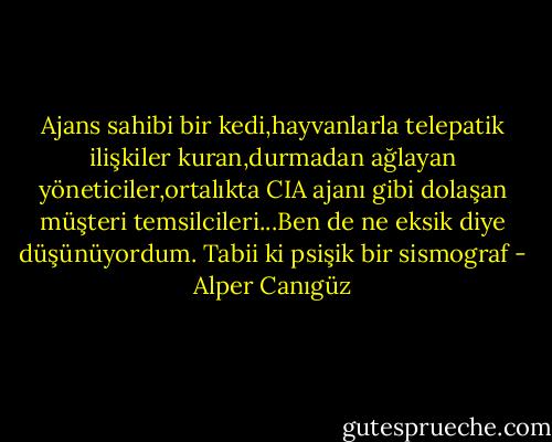 Ajans sahibi bir kedi,hayvanlarla telepatik ilişkiler kuran,durmadan ağlayan yöneticiler,ortalıkta CIA ajanı gibi dolaşan müşteri temsilcileri...Ben de ne eksik diye düşünüyordum. Tabii ki psişik bir sismograf - Alper Canıgüz