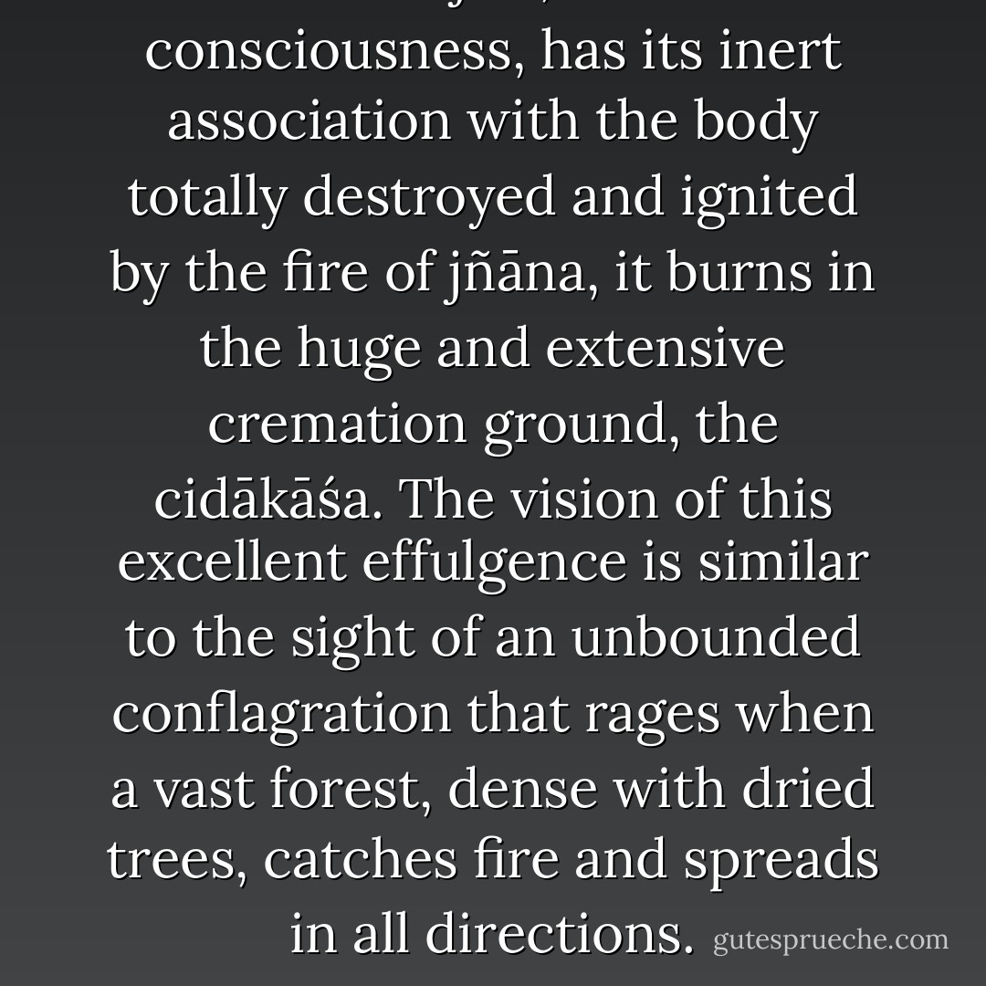 When the jīva, reflected consciousness, has its inert association with the body totally destroyed and ignited by the fire of jñāna, it burns in the huge and extensive cremation ground, the cidākāśa. The vision of this excellent effulgence is similar to the sight of an unbounded conflagration that rages when a vast forest, dense with dried trees, catches fire and spreads in all directions. - Muruganar