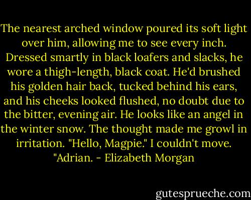 The nearest arched window poured its soft light over him, allowing me to see<br />every inch. Dressed smartly in black loafers and slacks, he wore a thigh-length, black<br />coat. He'd brushed his golden hair back, tucked behind his ears, and his cheeks looked<br />flushed, no doubt due to the bitter, evening air.<br />He looks like an angel in the winter snow. The thought made me growl in irritation.<br />"Hello, Magpie."<br />I couldn't move. "Adrian. - Elizabeth Morgan