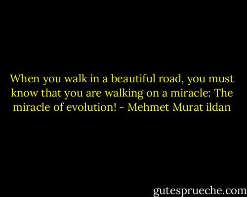 When you walk in a beautiful road, you must know that you are walking on a miracle: The miracle of evolution! - Mehmet Murat ildan