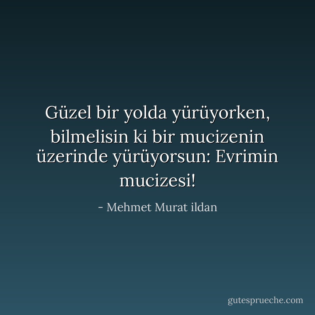 Güzel bir yolda yürüyorken, bilmelisin ki bir mucizenin üzerinde yürüyorsun: Evrimin mucizesi! - Mehmet Murat ildan