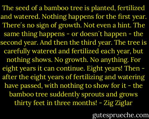 The seed of a bamboo tree is planted, fertilized and watered. Nothing happens for the first year. There´s no sign of growth. Not even a hint. The same thing happens - or doesn´t happen - the second year. And then the third year. The tree is carefully watered and fertilized each year, but nothing shows. No growth. No anything. For eight years it can continue. Eight years! Then - after the eight years of fertilizing and watering have passed, with nothing to show for it - the bamboo tree suddently sprouts and grows thirty feet in three months! - Zig Ziglar