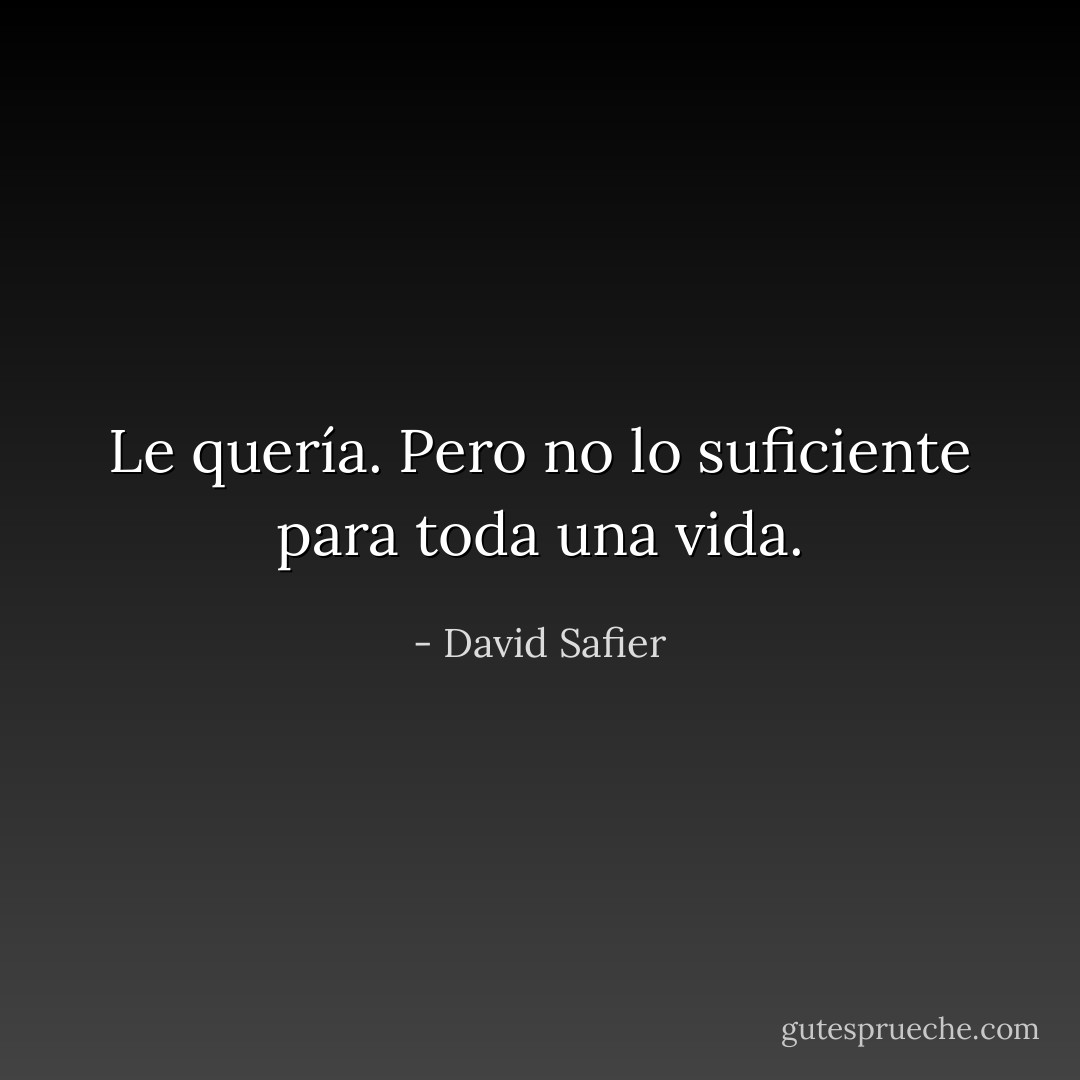 Le quería. Pero no lo suficiente para toda una vida. - David Safier