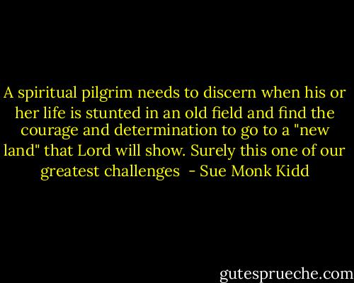A spiritual pilgrim needs to discern when his or her life is stunted in an old field and find the courage and determination to go to a "new land" that Lord will show. Surely this one of our greatest challenges  - Sue Monk Kidd