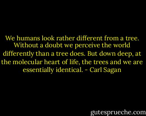 We humans look rather different from a tree. Without a doubt we perceive the world differently than a tree does. But down deep, at the molecular heart of life, the trees and we are essentially identical. - Carl Sagan