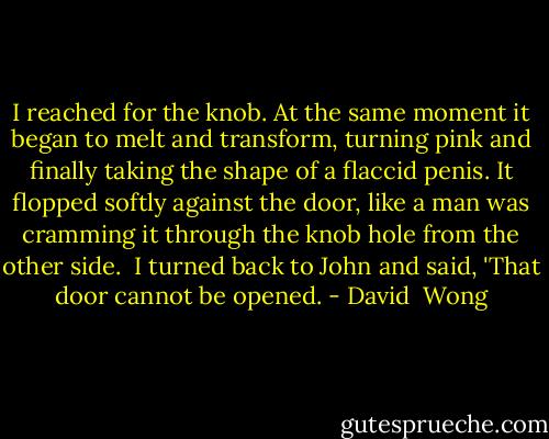I reached for the knob. At the same moment it began to melt and transform, turning pink and finally taking the shape of a flaccid penis. It flopped softly against the door, like a man was cramming it through the knob hole from the other side.<br /><br />I turned back to John and said, 'That door cannot be opened. - David  Wong