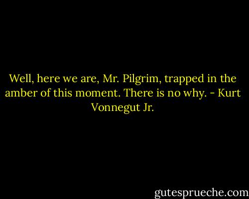Well, here we are, Mr. Pilgrim, trapped in the amber of this moment. There is no why. - Kurt Vonnegut Jr.