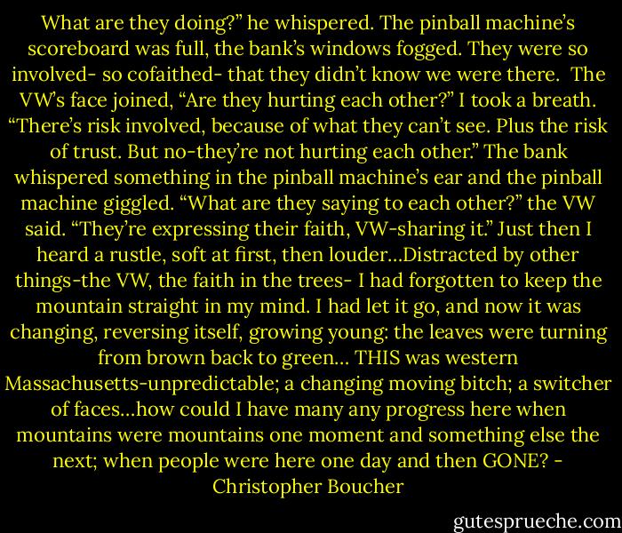 What are they doing?” he whispered.<br />The pinball machine’s scoreboard was full, the bank’s windows fogged. They were so involved- so cofaithed- that they didn’t know we were there. <br />The VW’s face joined, “Are they hurting each other?”<br />I took a breath. “There’s risk involved, because of what they can’t see. Plus the risk of trust. But no-they’re not hurting each other.”<br />The bank whispered something in the pinball machine’s ear and the pinball machine giggled.<br />“What are they saying to each other?” the VW said.<br />“They’re expressing their faith, VW-sharing it.”<br />Just then I heard a rustle, soft at first, then louder…Distracted by other things-the VW, the faith in the trees- I had forgotten to keep the mountain straight in my mind. I had let it go, and now it was changing, reversing itself, growing young: the leaves were turning from brown back to green… THIS was western Massachusetts-unpredictable; a changing moving bitch; a switcher of faces…how could I have many any progress here when mountains were mountains one moment and something else the next; when people were here one day and then GONE? - Christopher Boucher