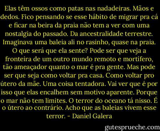 Elas têm ossos como patas nas nadadeiras. Mãos e dedos. Fico pensando se esse hábito de migrar pra cá e ficar na beira da praia não tem a ver com uma nostalgia do passado. Da ancestralidade terrestre. Imaginava uma baleia ali no rasinho, quase na praia. O que será que ela sente? Pode ser que veja a fronteira de um outro mundo remoto e mortífero, tão ameaçador quanto o mar é pra gente. Mas pode ser que seja como voltar pra casa. Como voltar pro útero da mãe. Uma coisa tentadora. Vai ver que é por isso que elas encalhem sem motivo aparente. Porque o mar não tem limites. O terror do oceano tá nisso. É o útero ao contrário. Acho que as baleias vivem esse terror. - Daniel Galera