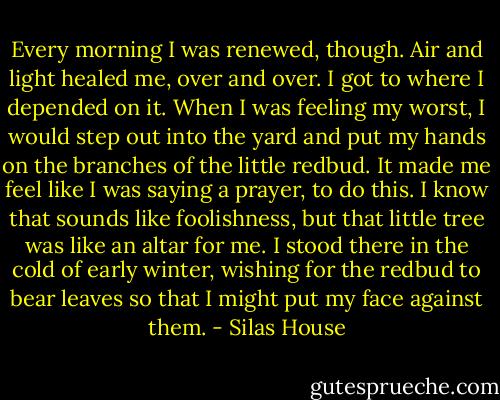 Every morning I was renewed, though. Air and light healed me, over and over. I got to where I depended on it. When I was feeling my worst, I would step out into the yard and put my hands on the branches of the little redbud. It made me feel like I was saying a prayer, to do this. I know that sounds like foolishness, but that little tree was like an altar for me. I stood there in the cold of early winter, wishing for the redbud to bear leaves so that I might put my face against them. - Silas House