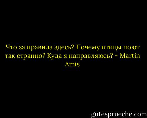 Что за правила здесь? Почему птицы поют так странно? Куда я направляюсь? - Martin Amis