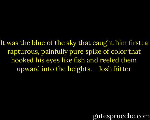 It was the blue of the sky that caught him first: a rapturous, painfully pure spike of color that hooked his eyes like fish and reeled them upward into the heights. - Josh Ritter