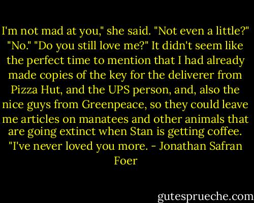 I'm not mad at you," she said. "Not even a little?" "No." "Do you still love me?" It didn't seem like the perfect time to mention that I had already made copies of the key for the deliverer from Pizza Hut, and the UPS person, and, also the nice guys from Greenpeace, so they could leave me articles on manatees and other animals that are going extinct when Stan is getting coffee. "I've never loved you more. - Jonathan Safran Foer