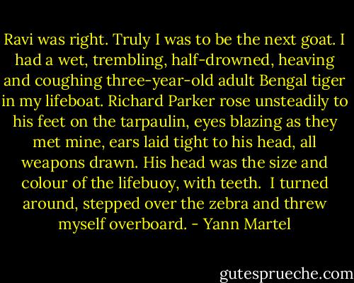 Ravi was right. Truly I was to be the next goat. I had a wet, trembling, half-drowned, heaving and coughing three-year-old adult Bengal tiger in my lifeboat. Richard Parker rose unsteadily to his feet on the tarpaulin, eyes blazing as they met mine, ears laid tight to his head, all weapons drawn. His head was the size and colour of the lifebuoy, with teeth. <br />I turned around, stepped over the zebra and threw myself overboard. - Yann Martel