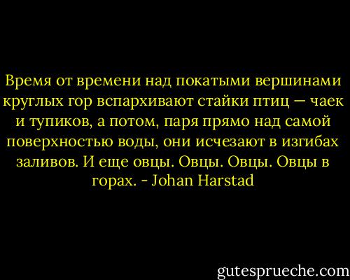 Время от времени над покатыми вершинами круглых гор вспархивают стайки птиц — чаек и тупиков, а потом, паря прямо над самой поверхностью воды, они исчезают в изгибах заливов. И еще овцы. Овцы. Овцы. Овцы в горах. - Johan Harstad