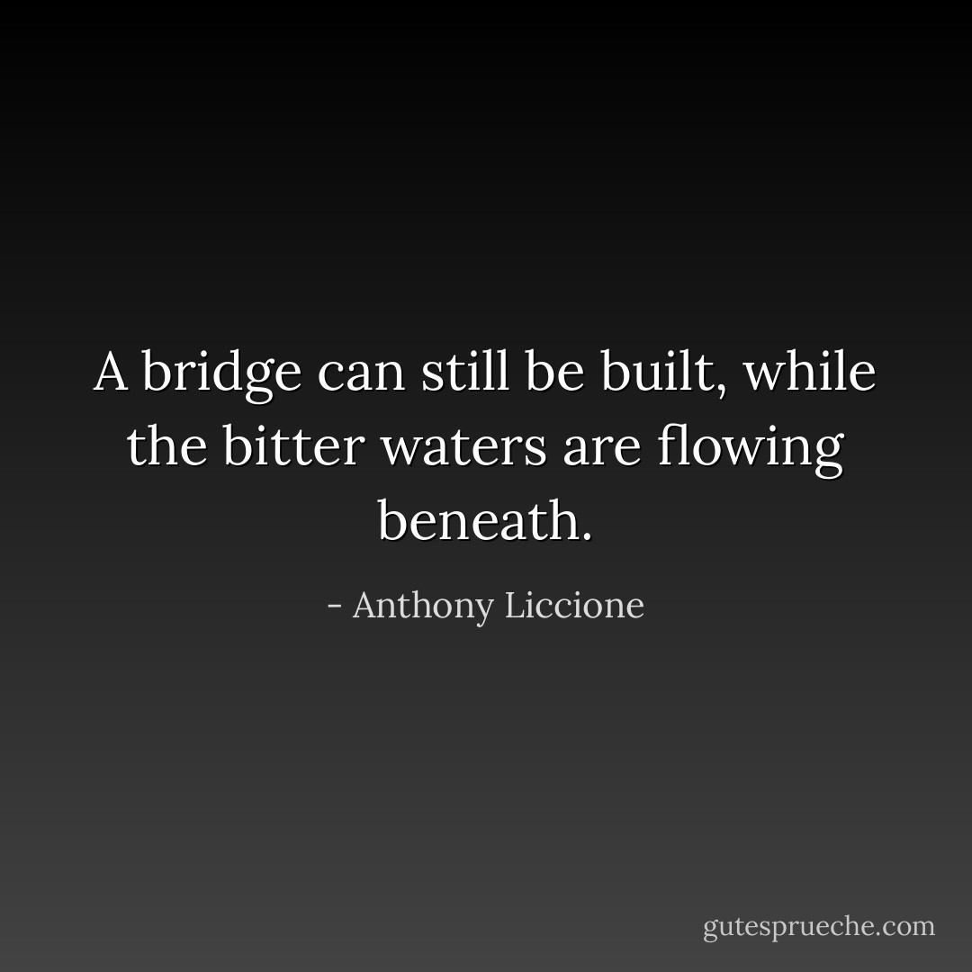 A bridge can still be built, while the bitter waters are flowing beneath. - Anthony Liccione