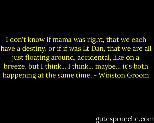 I don't know if mama was right, that we each have a destiny, or if if was Lt Dan, that we are all just floating around, accidental, like on a breeze, but I think... I think... maybe... it's both happening at the same time. - Winston Groom
