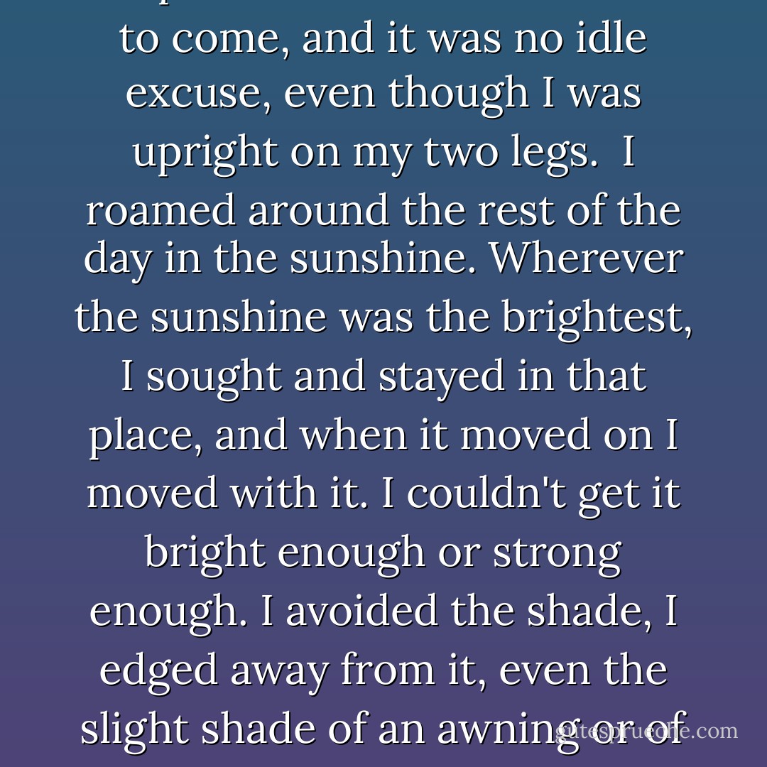 There was nothing the matter out there. It was in here, with me.<br /> <br />I decided I'd better go to work, maybe that would exorcise me. I fled from the room almost as though it were haunted. It was too late to stop off at a breakfast counter now. I didn't want any, anyway. My stomach kept giving little quivers. In the end I didn't go to work, either. I couldn't, I wouldn't have been any good. I telephoned in that I was too ill to come, and it was no idle excuse, even though I was upright on my two legs.<br /><br />I roamed around the rest of the day in the sunshine. Wherever the sunshine was the brightest, I sought and stayed in that place, and when it moved on I moved with it. I couldn't get it bright enough or strong enough. I avoided the shade, I edged away from it, even the slight shade of an awning or of a tree.<br /><br />And yet the sunshine didn't warm me. Where others mopped their brows and moved out of it, I stayed - and remained cold inside. And the shade was winning the battle as the hours lengthened. It outlasted the sun. The sun weakened and died; the shade deepened and spread. Night was coming on, the time of dreams, the enemy. ("Nightmare") - Cornell Woolrich