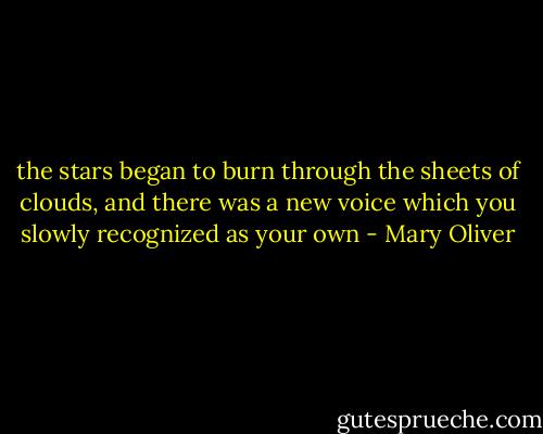 the stars began to burn<br />through the sheets of clouds,<br />and there was a new voice<br />which you slowly<br />recognized as your own - Mary Oliver