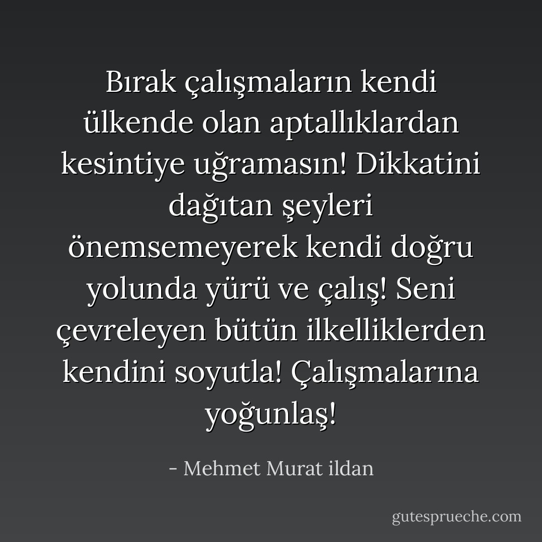 Bırak çalışmaların kendi ülkende olan aptallıklardan kesintiye uğramasın! Dikkatini dağıtan şeyleri önemsemeyerek kendi doğru yolunda yürü ve çalış! Seni çevreleyen bütün ilkelliklerden kendini soyutla! Çalışmalarına yoğunlaş! - Mehmet Murat ildan