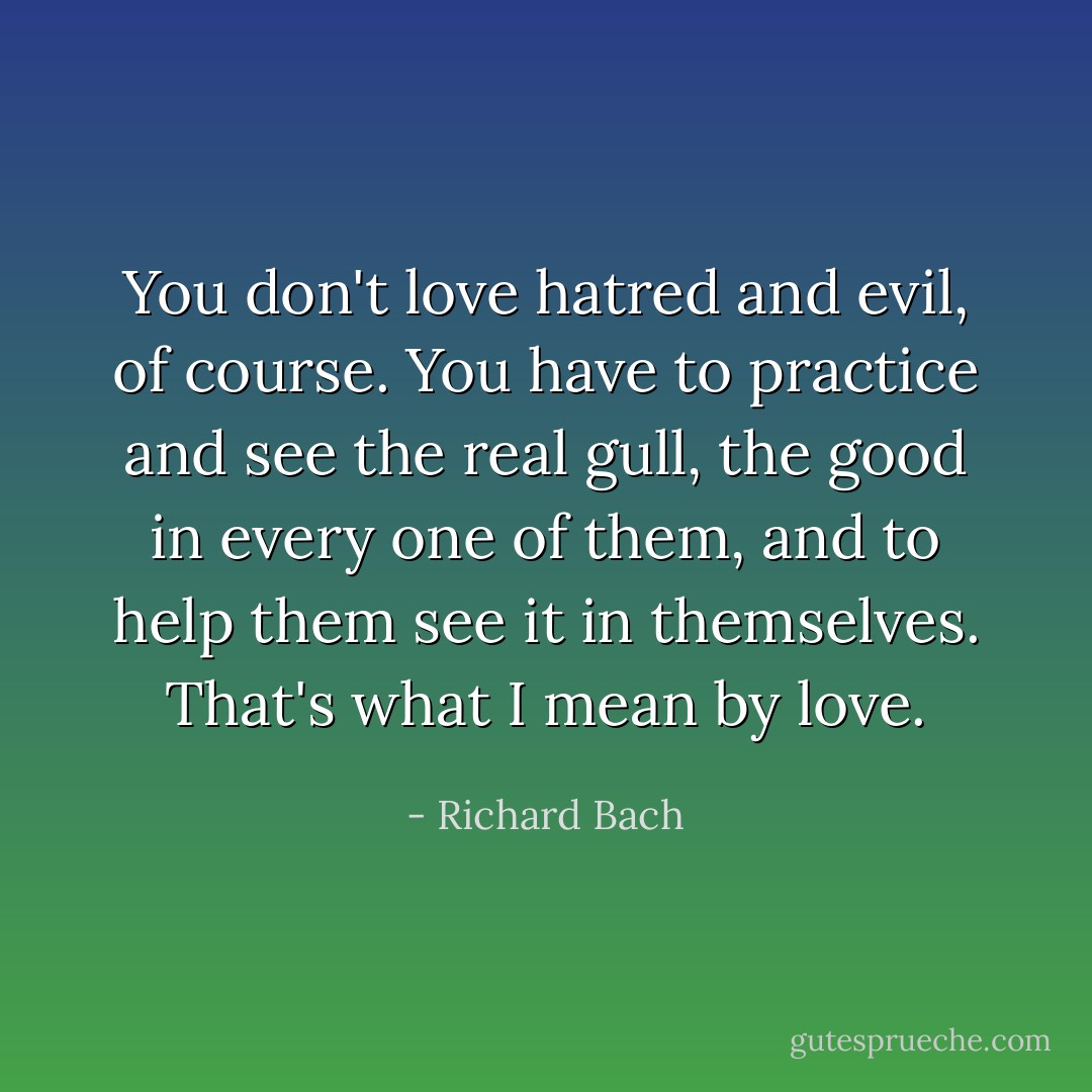 You don't love hatred and evil, of course. You have to practice and see the real gull, the good in every one of them, and to help them see it in themselves. That's what I mean by love. - Richard Bach