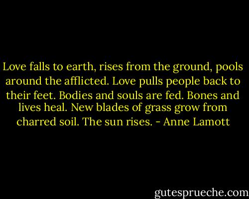 Love falls to earth, rises from the ground, pools around the afflicted. Love pulls people back to their feet. Bodies and souls are fed. Bones and lives heal. New blades of grass grow from charred soil. The sun rises. - Anne Lamott