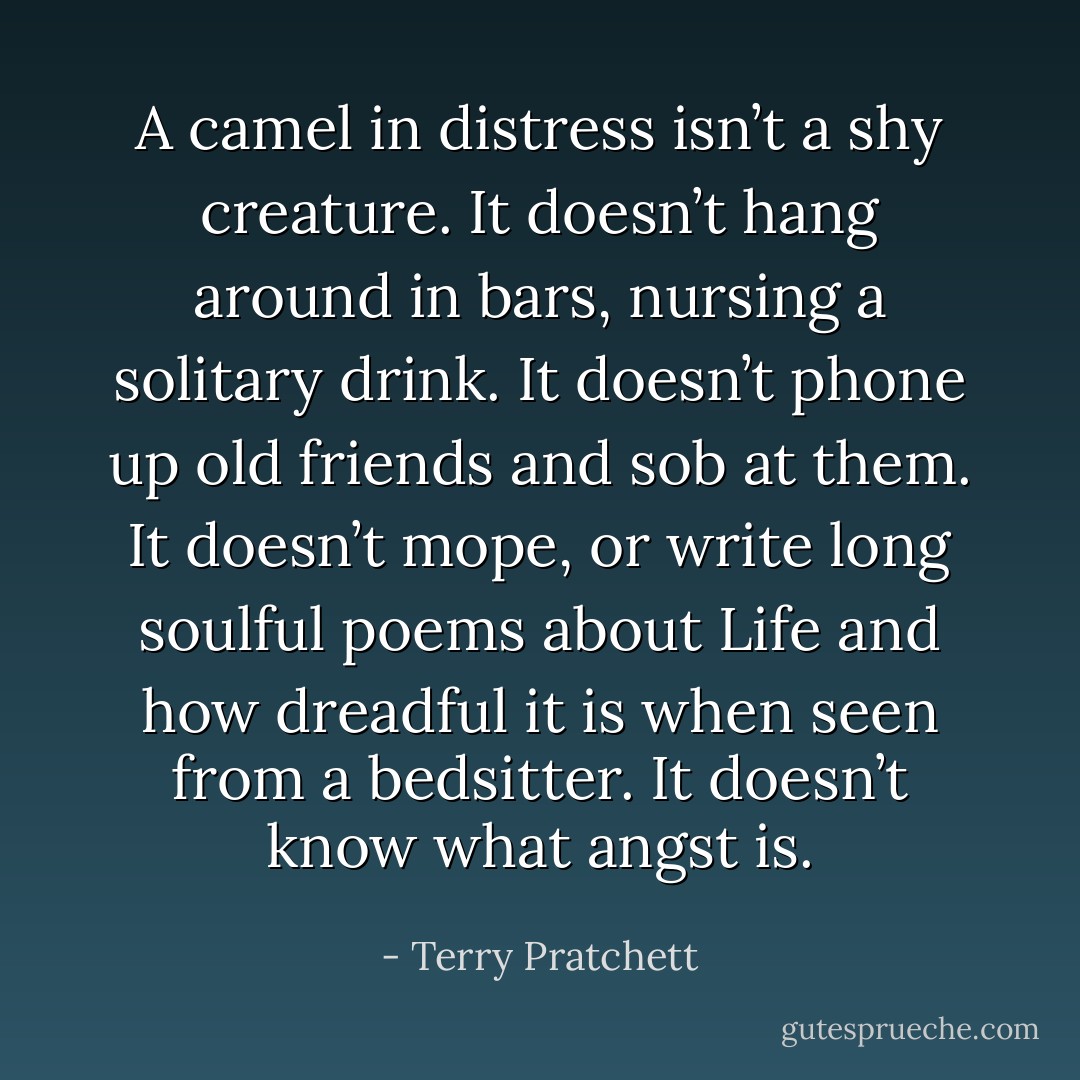 A camel in distress isn’t a shy creature. It doesn’t hang around in bars, nursing a solitary drink. It doesn’t phone up old friends and sob at them. It doesn’t mope, or write long soulful poems about Life and how dreadful it is when seen from a bedsitter. It doesn’t know what angst is. - Terry Pratchett