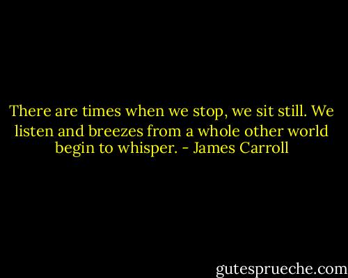 There are times when we stop, we sit still. We listen and breezes from a whole other world begin to whisper. - James Carroll