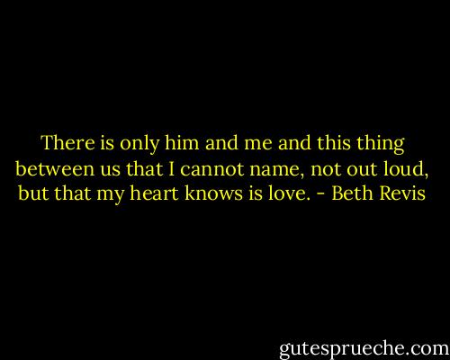There is only him and me and this thing between us that I cannot name, not out loud, but that my heart knows is love. - Beth Revis